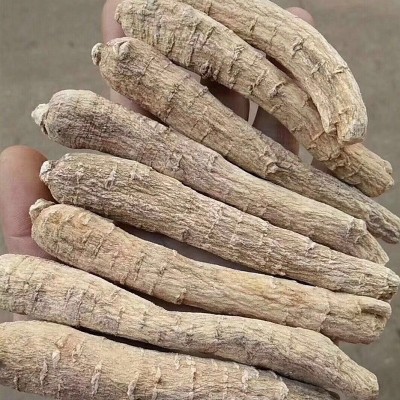 南君七西洋参批发 花旗参西洋参片粒头红参高丽参粒头磨西洋参粉1件图3