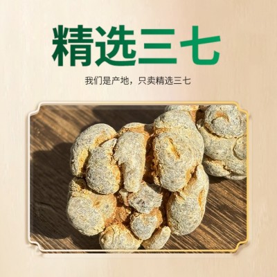 云南文山三七中药材批发20头30头40头非野生正林下品田七粉三七片1斤图2