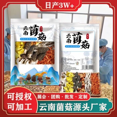 云南七彩菌汤包松茸菌菇汤料包炖鸡煲汤食材山珍羊肚菌类干 货批发2袋