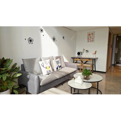 秋分（LOFT+空调+洗衣机+冰箱+私人影院+可做饭）图2