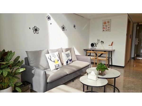 秋分（LOFT+空调+洗衣机+冰箱+私人影院+可做饭）