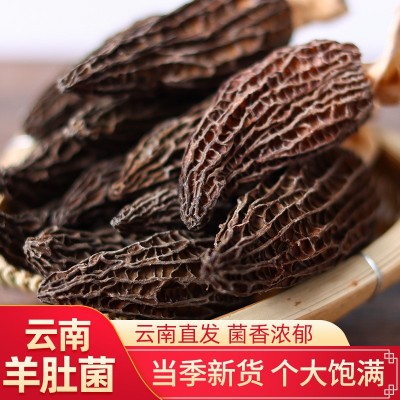 羊肚菌500g干货云南原产地土特产菌菇干货伴手礼羊肚菌菌汤包批发1袋