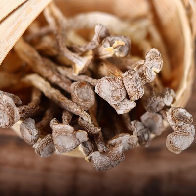 鹿茸菇干货500g鹿茸菌云南非野生脆脆菌菇煲汤蘑菇批发团 购菌汤包1件图2
