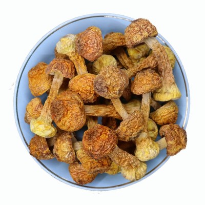 云南姬松茸干货批发 新货巴西菇 食用菌木耳香菇500克散装松茸菌2件图5