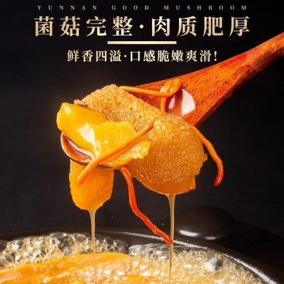 云南特产干货菌汤包十二菌纯菌100克源头工厂定制批发品质送礼2件图3