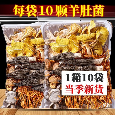 云南特产七彩菌汤包松茸菌菇汤料包干货食用菌菇厂羊肚菌汤包批发1袋图2