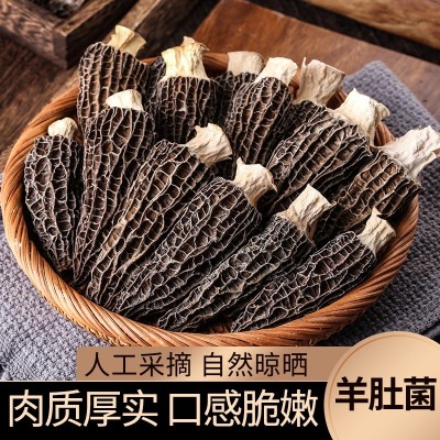 批发剪柄羊肚菌干货 规格齐全500克250克 煲汤食材云南菌特产酒店1件