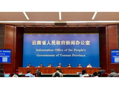 云南聚焦文化“走出去” 对外影响力不断扩大