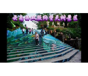 云南西双版纳望天树景区旅游景点推荐攻略！