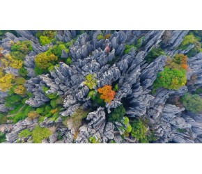 以另一种角度看天下第一奇观云南石林风景区