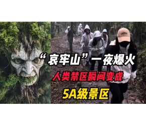 云南哀牢山一夜爆火，“人类禁区”瞬间变成了，热门的5A级景区