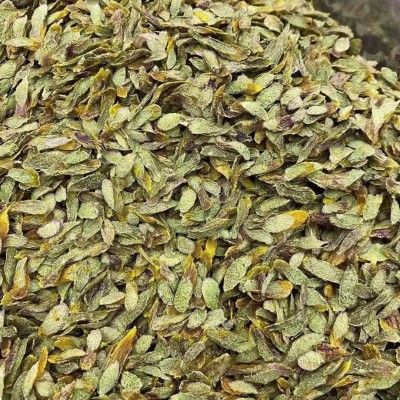 铁皮石斛片 枫斗石斛干条石斛粉 石斛花石斛片现货批发代发2件图4