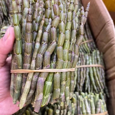云南铁皮石斛鲜条现摘现发石斛鲜条新鲜石斛批发胶质好2件图3