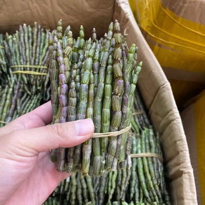 云南铁皮石斛鲜条现摘现发石斛鲜条新鲜石斛批发胶质好2件图2