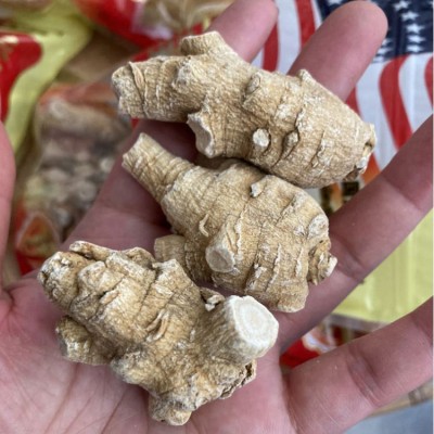西洋参中药材批发长白山西洋参片花旗参段新货切片散装西洋参干片2斤