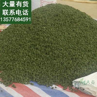 2024年今年新三七花田七花 云南文山2年3年4年三七花茶农家三七2斤图3