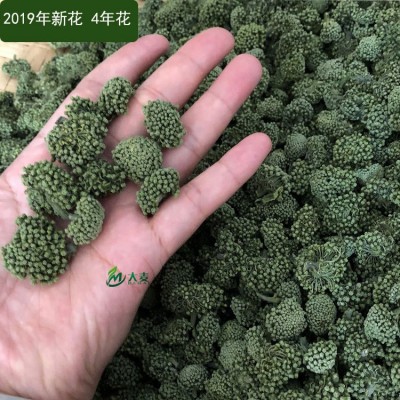 2024年今年新三七花田七花 云南文山2年3年4年三七花茶农家三七2斤
