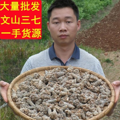 大麦文山三七 专批发云南文山三七头田七 三七粉云南文山 产地药材1斤