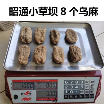 山中宝产地批发天麻 云南特产昭通小草坝天麻丽江天麻 湖北天麻粉1件