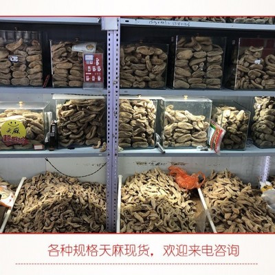 山中宝产地批发天麻 云南特产昭通小草坝天麻丽江天麻 湖北天麻粉1件图4