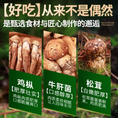 鸡枞菌牛肝菌松茸菌云南特产油炸鸡枞菌罐头即食下饭菜拌面菌子酱1个图2
