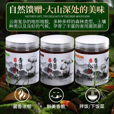 鸡枞菌牛肝菌松茸菌云南特产油炸鸡枞菌罐头即食下饭菜拌面菌子酱1个图1