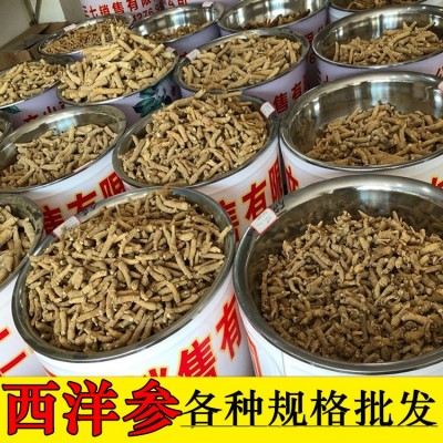 批发西洋参粒头 长白山西洋参段花旗参500克可免费切片1件