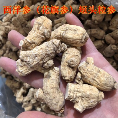 批发西洋参粒头 长白山西洋参段花旗参500克可免费切片1件图2