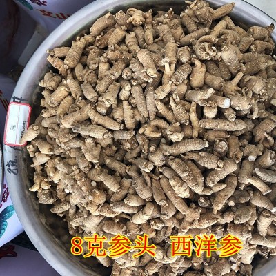 批发西洋参粒头 长白山西洋参段花旗参500克可免费切片1件图5
