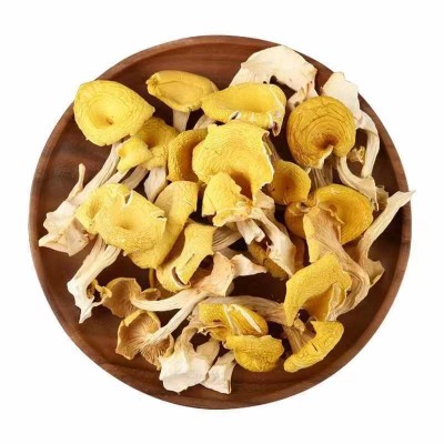 云南特产鸡油菌干蘑菇鸡油菌黄丝菌食用菌榆黄菇干货厂家直销1件图4