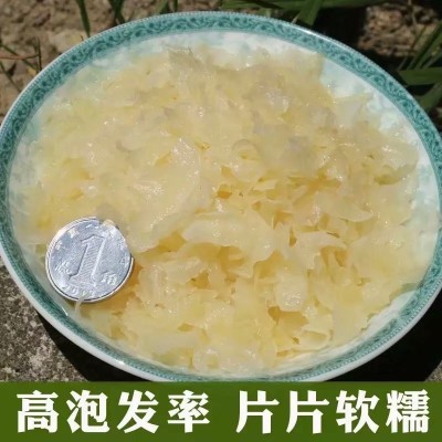 福建古田银耳碎干货250g银耳叶片无杂质出胶浓厂家批发量大从优2件图3