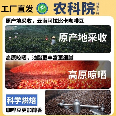 农科院云南小粒咖啡豆阿拉比卡意式新鲜烘焙现磨手冲黑咖啡豆批发1件图3