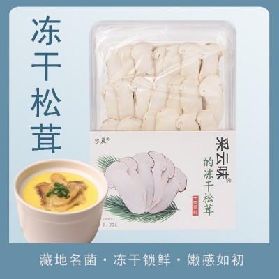 云南高山野生冻干松茸片20g每盒厂家直批新鲜冻干松茸片野生菌菇2盒
