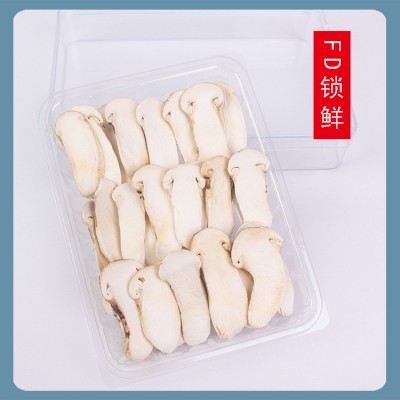 云南高山野生冻干松茸片20g每盒厂家直批新鲜冻干松茸片野生菌菇2盒图3