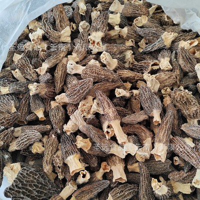 云南土特产羊肚菌干货散装大货批发厂家直批新货煲汤干蘑菇羊肚菌2件