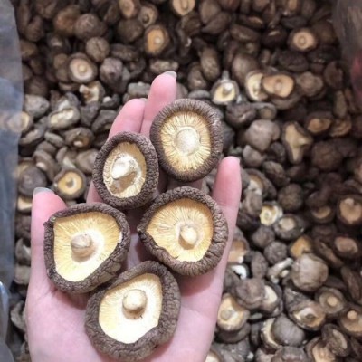 特产香菇干货厂家批发直销小香菇菌汤包批发代生产食用菌批发2件图3