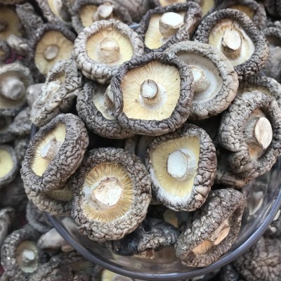 特产香菇干货厂家批发直销小香菇菌汤包批发代生产食用菌批发2件图4