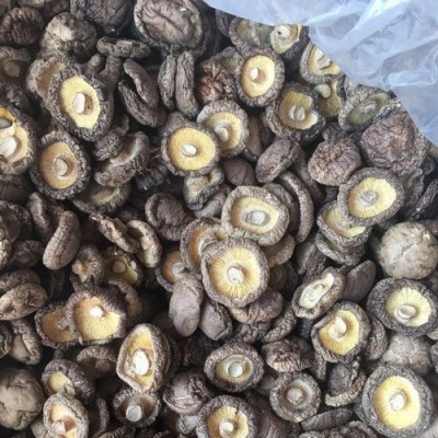 特产香菇干货厂家批发直销小香菇菌汤包批发代生产食用菌批发2件图2
