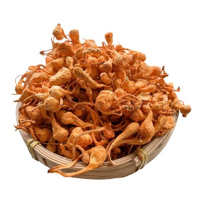干货虫草花孢子头干蛹虫草北虫草煲汤食用菌非新鲜汤材料1000g2袋图5