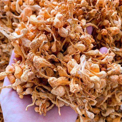干货虫草花孢子头干蛹虫草北虫草煲汤食用菌非新鲜汤材料1000g2袋图4