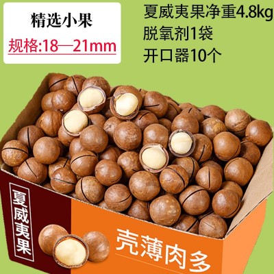 5kg箱新货云南原味夏威夷果奶油健康零食特大果干果坚果整箱批发1箱图5