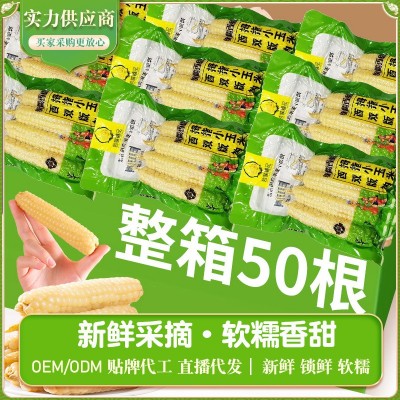 【爆款】云南西双版纳拇指玉米新鲜白糯迷你手指玉米儿童早餐代发1件