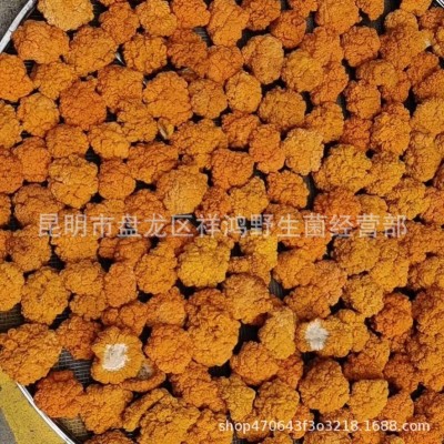 【金耳】云南特产金耳干货5-8公分大黄耳一手货源直供 批发 代发1件图4