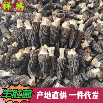 【羊肚菌】云南特产高山干羊肚菌散装头茬剪柄羊肚菌干货批发代发1件