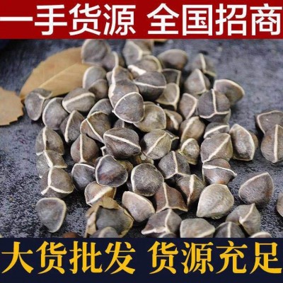 辣木籽辣木子新货人工挑选颗粒饱满老树生辣木籽500克袋装批发散    2件图3