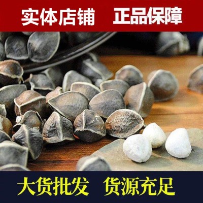 辣木籽辣木子新货人工挑选颗粒饱满老树生辣木籽500克袋装批发散    2件图2