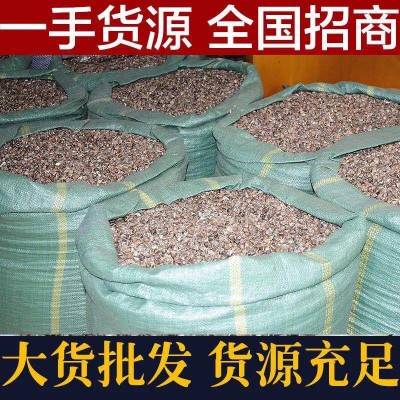 辣木籽辣木子新货人工挑选颗粒饱满老树生辣木籽500克袋装批发散    2件图5
