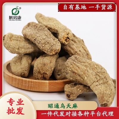 天麻昭通天麻乌天麻云南小草坝乌天麻天麻片磨天麻粉产地批发代发     2件图2