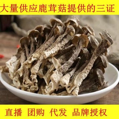 鹿茸菇干货500克无硫煲汤餐饮火锅食材土特产农副产品食用菌批发    2袋