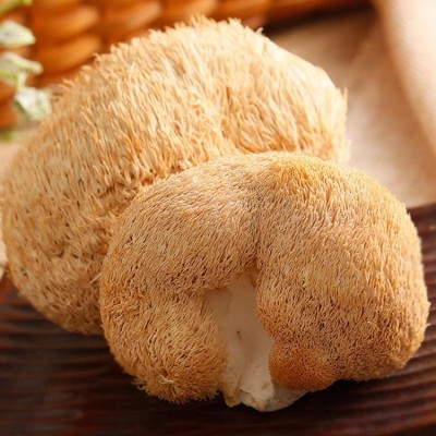 猴头菇新货500g无硫熏猴头菇干货食用菌菇批发煲汤食材菌菇批发   1斤图2